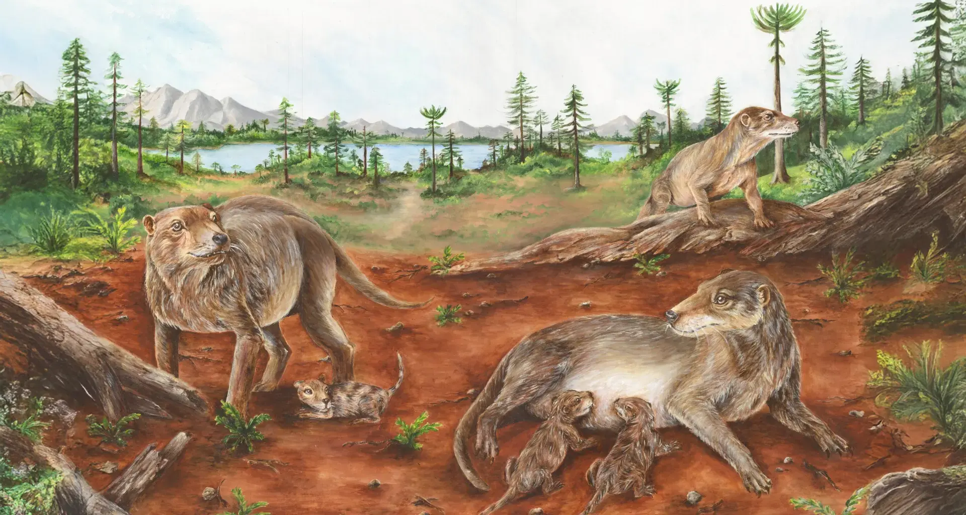 A 236-million-year-old fossil could rewrite the story of mammalian birth