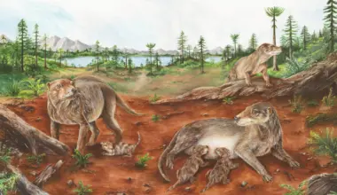 A 236-million-year-old fossil could rewrite the story of mammalian birth