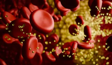 Your genes may decide whether a low-carb diet sends cholesterol soaring