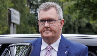 Commissioner calls for single review into actions of Jeffrey Donaldson