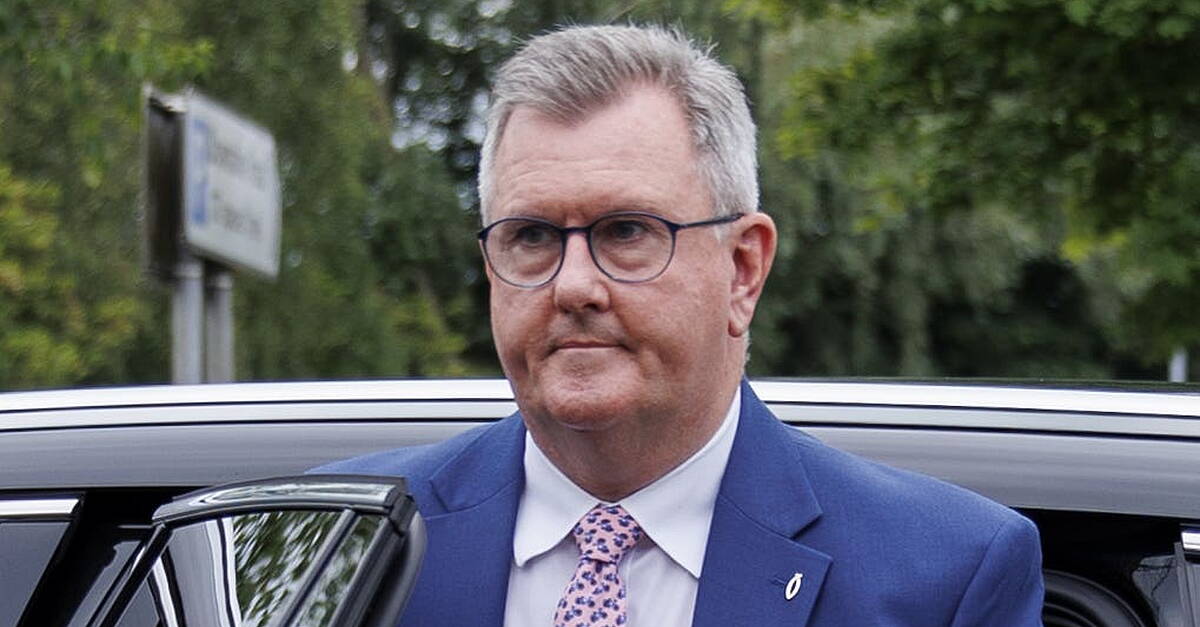 Commissioner calls for single review into actions of Jeffrey Donaldson