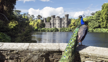 Communities Invited To Help Preserve Ireland's Living History