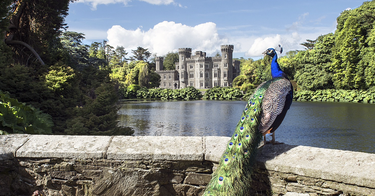 Communities Invited To Help Preserve Ireland's Living History