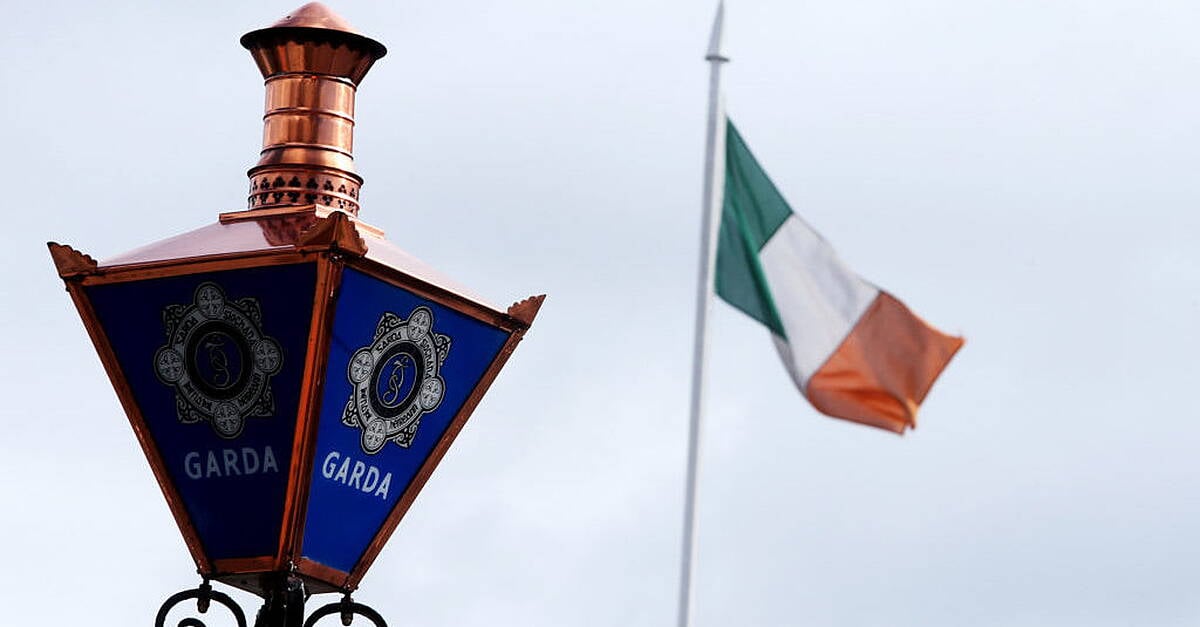 Cork-based garda awarded almost €91,000 for injuries after suspect 'went beserk'