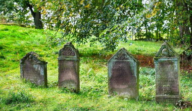 Councillor says dumping ongoing at North Kerry cemetery as people believe it’s bad luck to take things from the graveyard