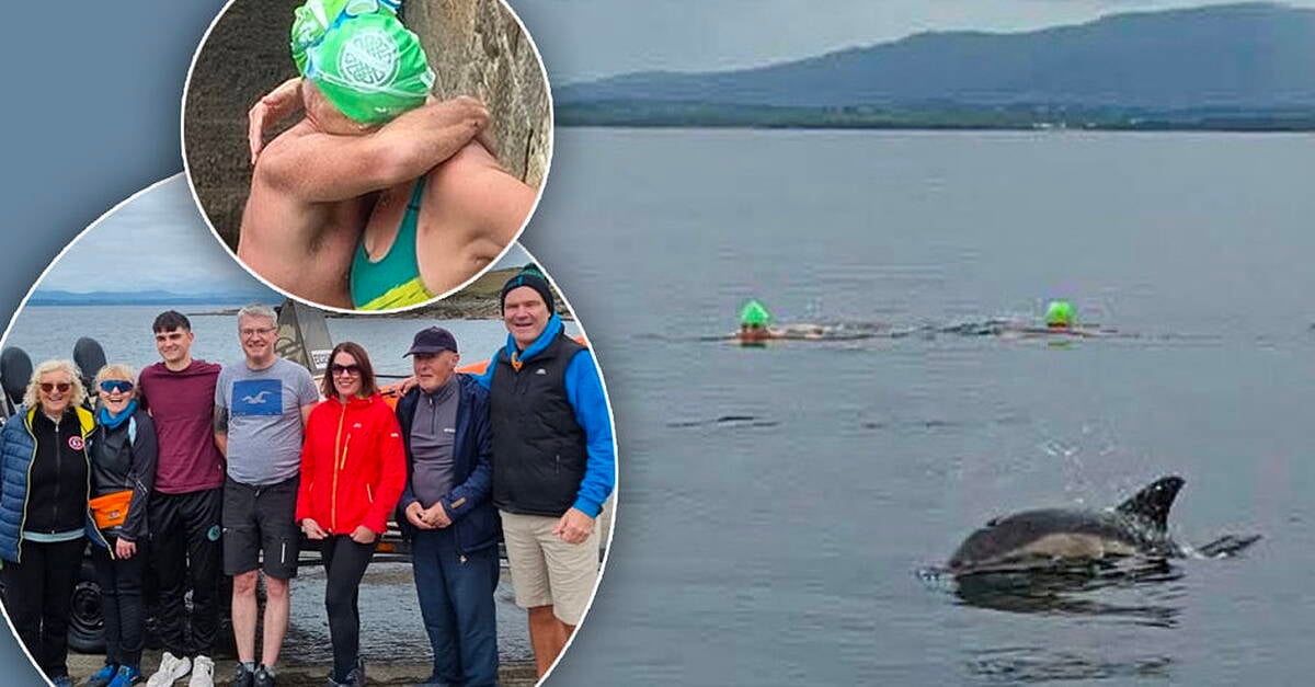 Donegal swimmers click with dolphins during historic bay crossing