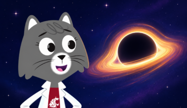 An illustration of Dr. Universe looking at a blackhole