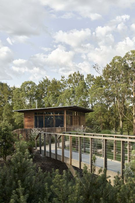 Flooded Gums is a cabin on a farming property in Millers Forest, connected to the main house via a timber bridge.
