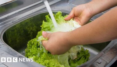 Michigan reports first two deaths linked to cyclospora outbreak - BBC