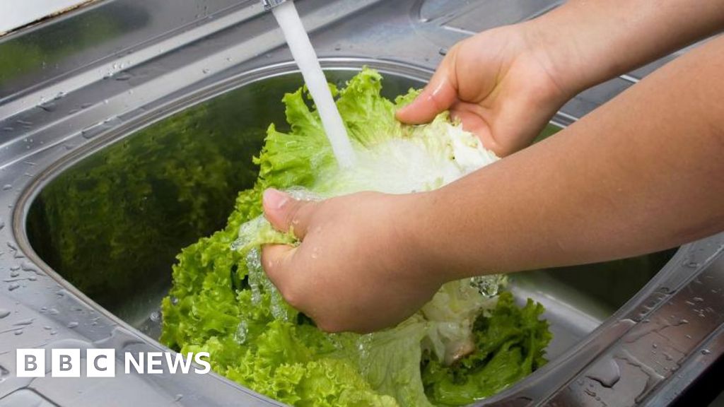 Michigan reports first two deaths linked to cyclospora outbreak - BBC