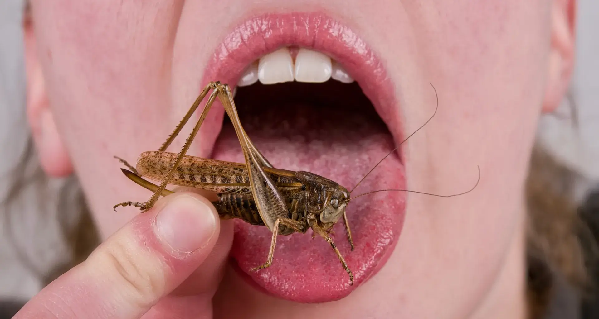 Your dislike of eating bugs may be 9,000 years old