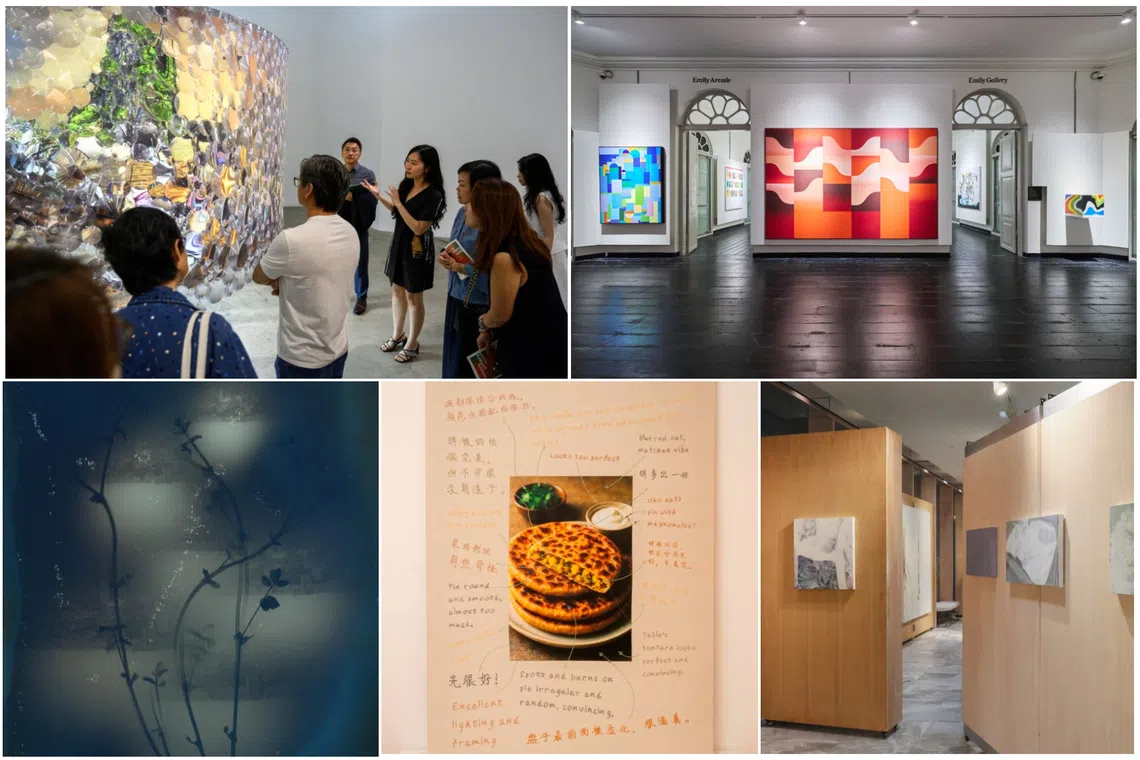 Tours, talks and workshops are in the line-up for Singapore Gallery Month.