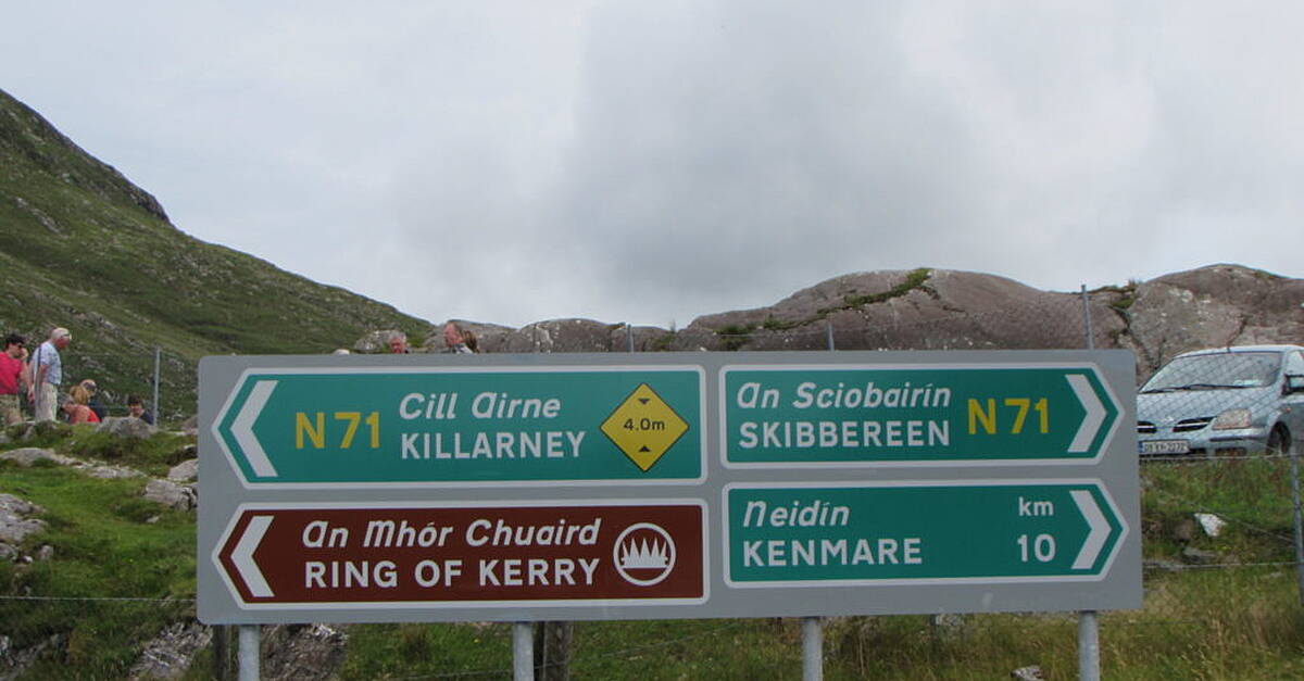 Gardaí appealing for witnesses following Moll's Gap crash