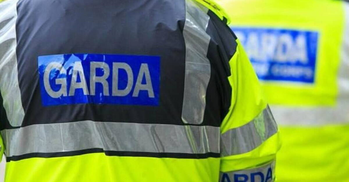 Garda appeal after Ballinasloe home attacked with turf