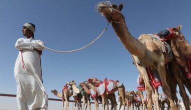 This app is modernizing the traditional camel trade