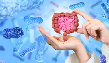 Scientists turn probiotic bacteria into tiny drug factories for pancreatic cancer