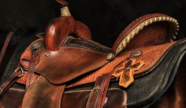 Harnesses May Influence AI Cybersecurity Outcomes