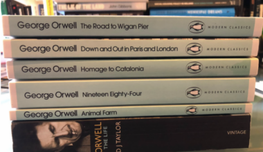 From George Orwell to sci-fi: Here's what Irish politicians are reading over the summer holidays