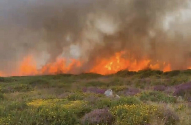 Wildfire at Glencullen in Dublin Mountains has reduced 'considerably'