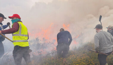 'It's been terrifying': locals say action needed in wake of Dublin mountains wildfires