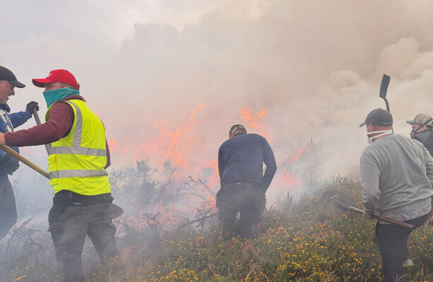 'It's been terrifying': locals say action needed in wake of Dublin mountains wildfires