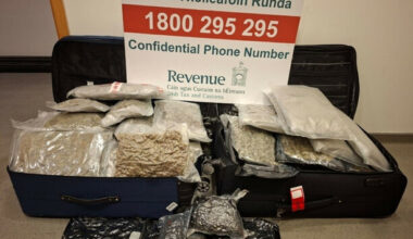 Revenue officers seize €584k worth of cannabis and €368k of crystal meth in Dublin Airport