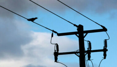 Pinergy to increase electricity prices from September, with typical household cost rising 7.6%