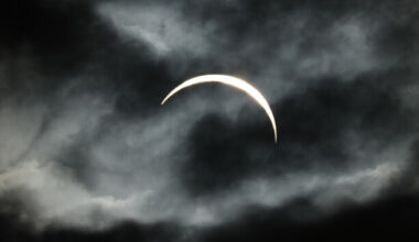 Sitdown Sunday: Can a solar eclipse impact the brain? · TheJournal.ie