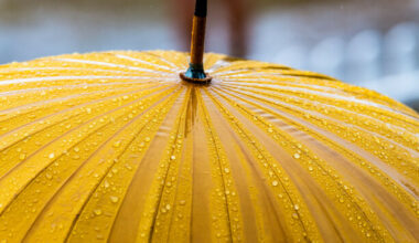Cooler temperatures and rain to return this week after bright spell