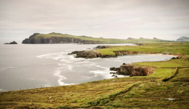 Ancient 'Kerry cow' bones discovered on Dingle Peninsula ‘were never cattle at all’