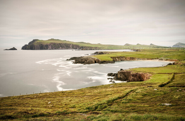 Ancient 'Kerry cow' bones discovered on Dingle Peninsula ‘were never cattle at all’