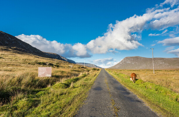 Government rejected plan to migrate Gaeltacht population to better land in 1926