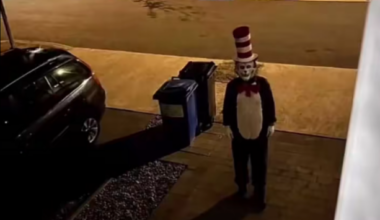 What's not enjoyable about the minor panic over a Cat in the Hat prowling the sunny south-east?
