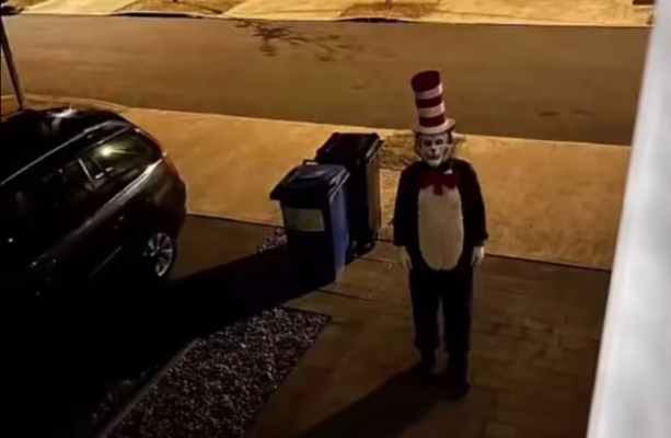 What's not enjoyable about the minor panic over a Cat in the Hat prowling the sunny south-east?