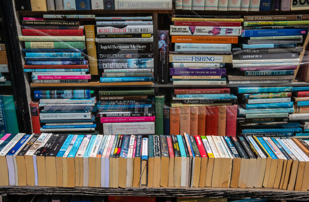 Why AI might kill the second-hand bookshop · TheJournal.ie