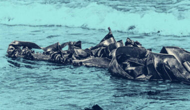 Maritime regulator investigating multiple claims of illegal seaweed harvesting in protected areas