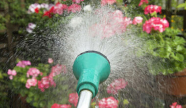 Hosepipe ban extended until end of September for 13 counties, including Cork and Dublin