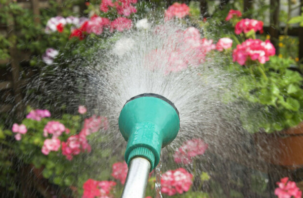 Hosepipe ban extended until end of September for 13 counties, including Cork and Dublin