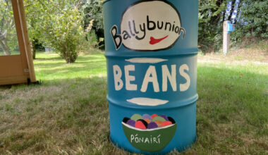 'Does everybody love beans?' - Enjoying a few cans at a unique Co Kerry festival