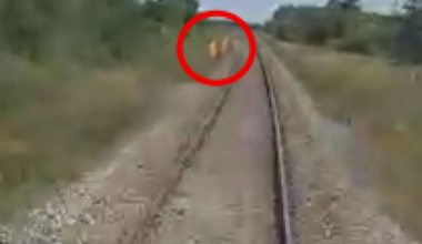 Irish rail workers avoided being hit by train by 'four to five seconds' in near-miss incident