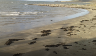 Popular Howth beach joins host of Dublin swimming spots with 'do not swim' notices