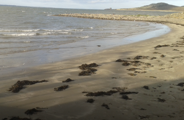 Popular Howth beach joins host of Dublin swimming spots with 'do not swim' notices