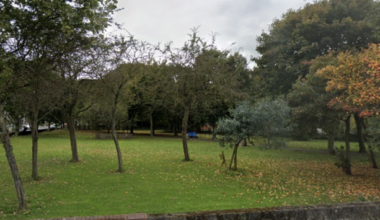 Witness appeal after body of woman (20s) found in Dublin park