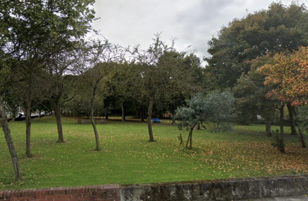 Witness appeal after body of woman (20s) found in Dublin park