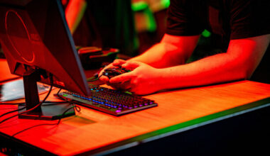 Organised crime groups using online gaming to 'radicalise' minors and make crime 'glamorous'