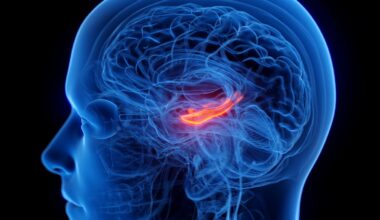 A Crucial Part of The Brain's Memory Center Seems to Shrink in People With Depression : ScienceAlert