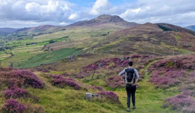 Ancient rocks in Ireland suggest volcanoes pulse between mush and melt before eruptions