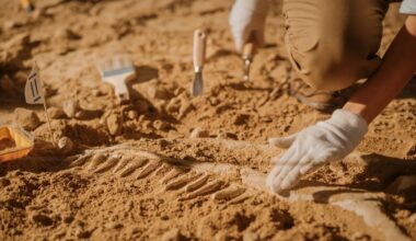 125-million-year-old fossil in China may reveal dinosaur spikes never seen before