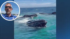 ‘Holy macaroni’: Cape Cod fisherman captures incredible whale encounter
