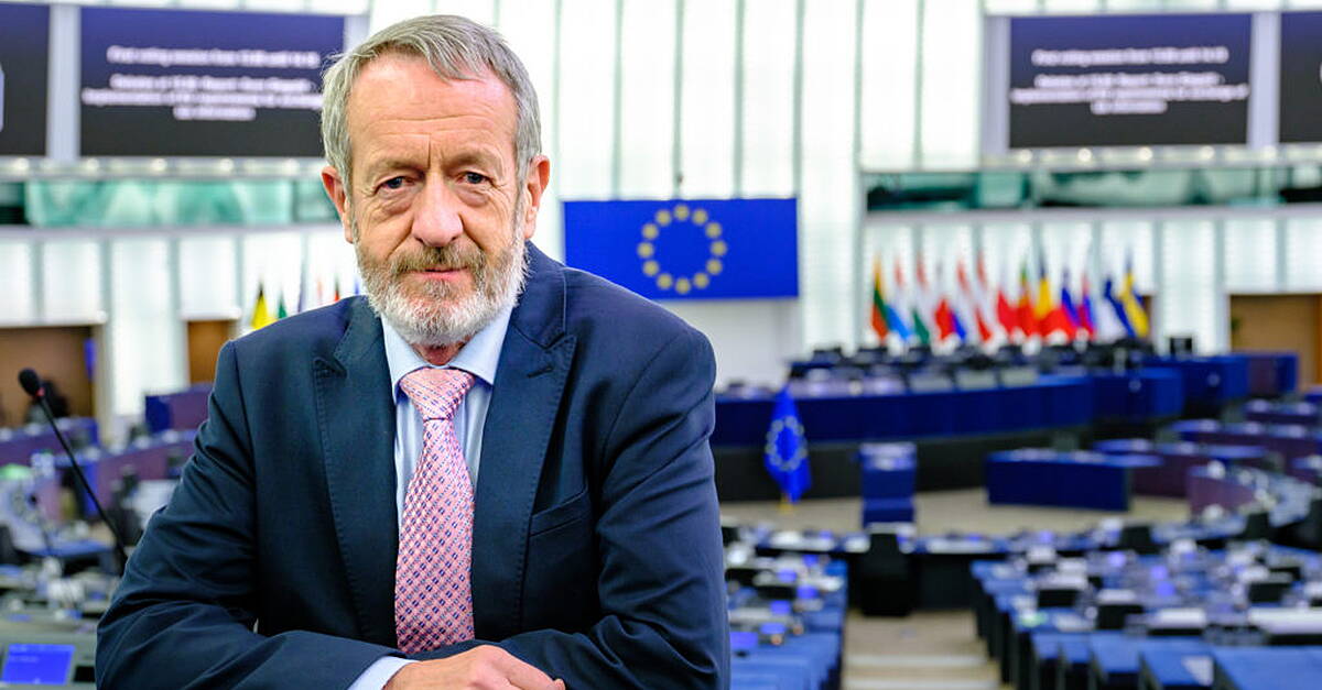 Ireland South MEP says new national play strategy needed for children